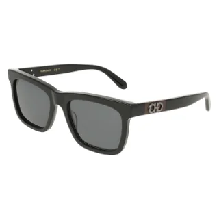 Salvatore Ferragamo Sunglasses SF2113S