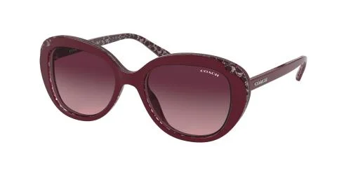 Coach Sunglasses HC8289F