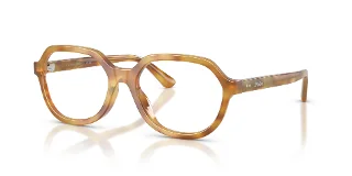 6185 Shiny Honey Tortoise