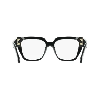 Salvatore Ferragamo Eyeglasses SF3041E