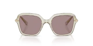 Swarovski Sunglasses SK6040