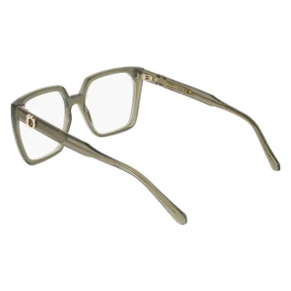 Salvatore Ferragamo Eyeglasses SF3042E