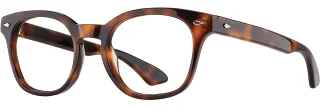 C02 Tortoise