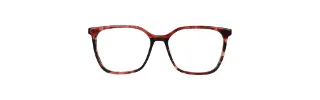 Xoxo Eyeglasses Everton