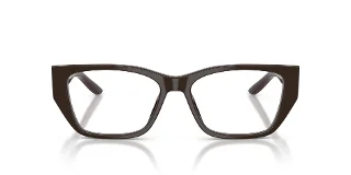 Prada Eyeglasses PRD20V