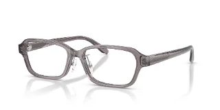 6206 Shiny Transparent Grey