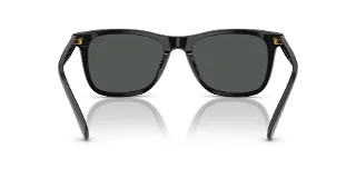 Polo Sunglasses PH4220F