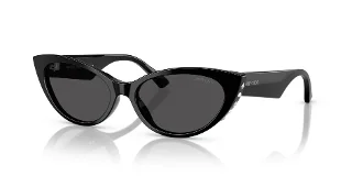 Jimmy Choo Sunglasses JC5023H