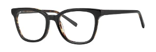 Black Tortoise