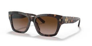 172813 Dark Tortoise