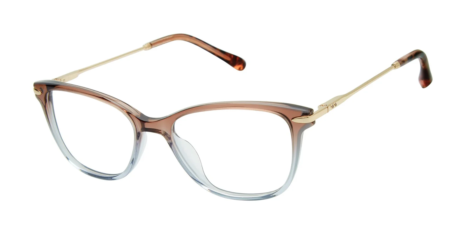 Barbour Eyeglasses BAOW005