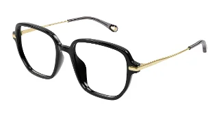Chloe Eyeglasses CH0218OA