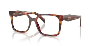 22A1O1 Poppy Tortoise