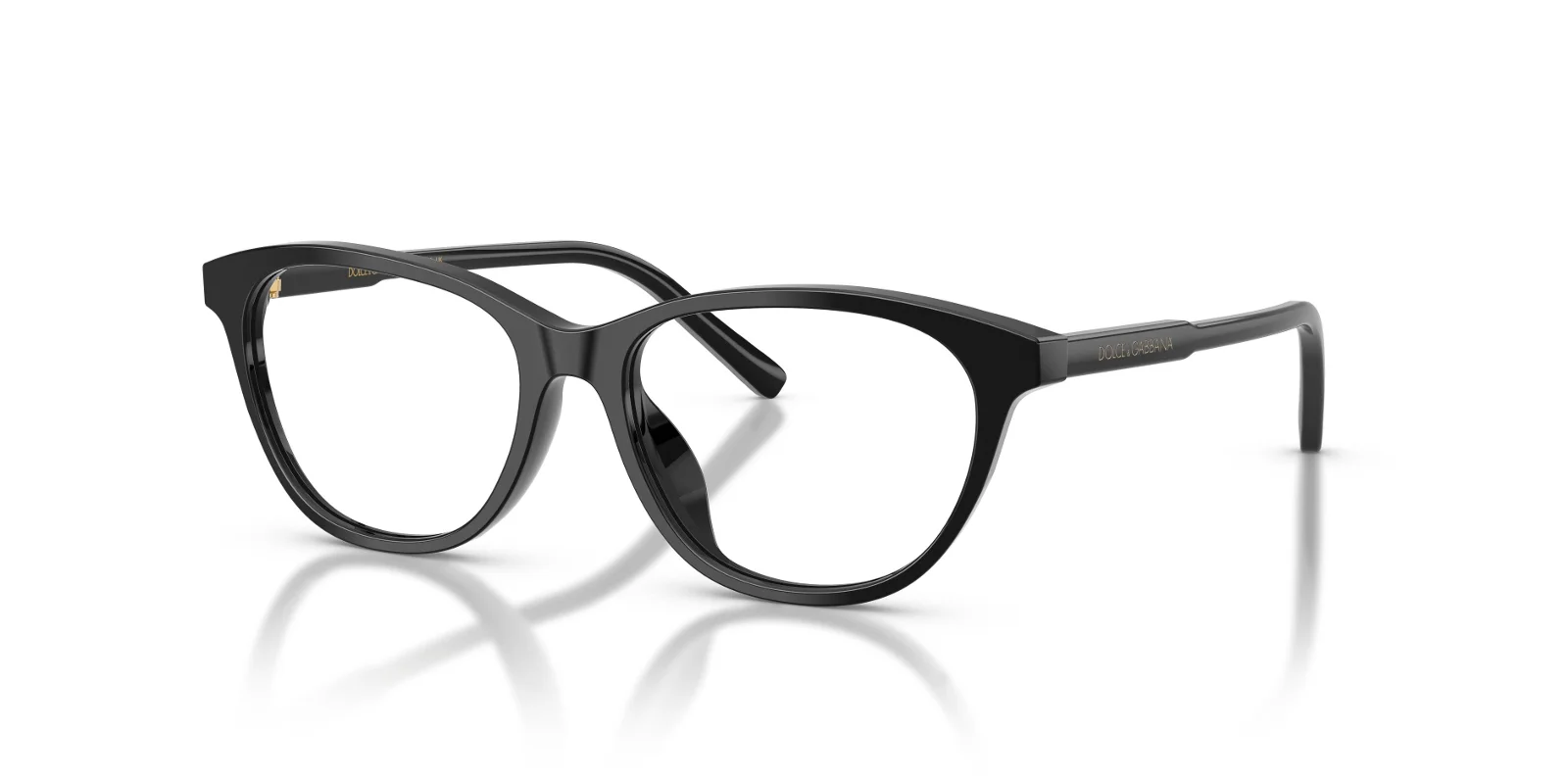 Dolce & Gabbana Eyeglasses DX3002