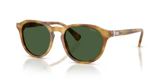 618571 Shiny Tortoise Light Brown