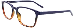 050 Dark Blue & Demi Amber