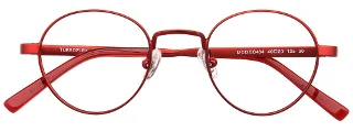 Easyclip Eyeglasses EC434