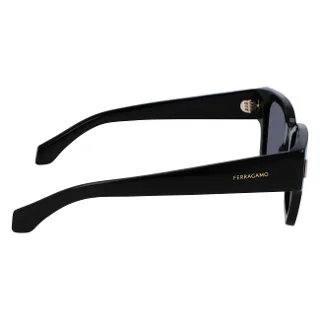 Salvatore Ferragamo Sunglasses SF2010S