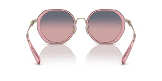 Coach Sunglasses HC7141