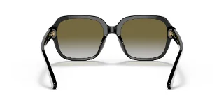 Coach Sunglasses HC8335U