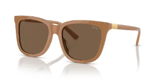 619673 Shiny Brown