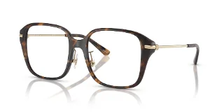 3006 Dark Tortoise