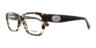 5325 Snow Leopard Tortoise/Brown