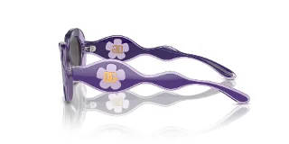 Dolce & Gabbana Sunglasses DX6005