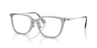 1069 Transparent Grey