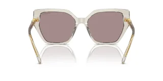 Swarovski Sunglasses SK6016