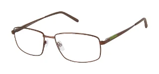 Xxl Eyewear Eyeglasses Peregrine