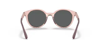 Emporio Armani Sunglasses EK4185F