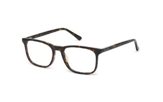 Pepe Jeans Eyeglasses PJ 3315
