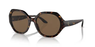 500373 Shiny Dark Havana