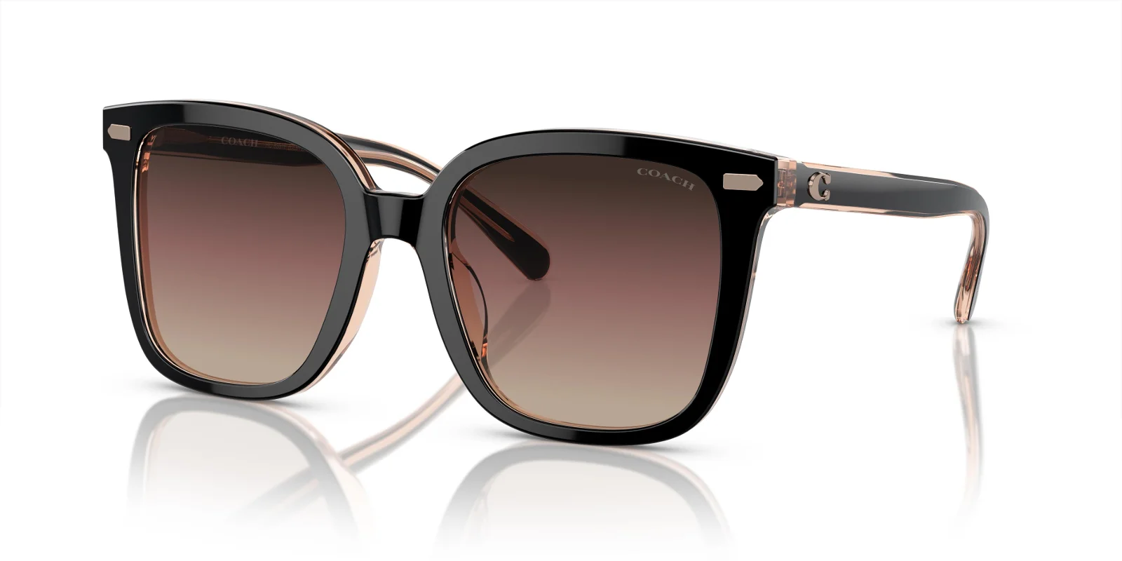 Coach Sunglasses HC8381F