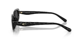 Coach Sunglasses HC8443D