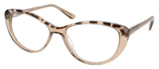 Tortoise/Sand