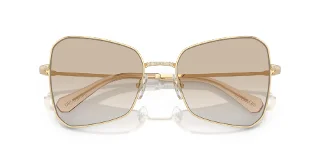 Swarovski Sunglasses SK7008