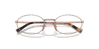 Prada Eyeglasses PRA57V