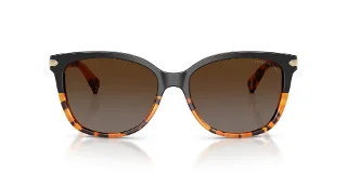 Coach Sunglasses HC8132 L109
