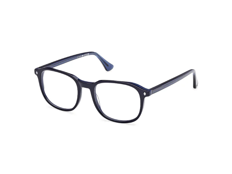 Web Eyeglasses WE5454