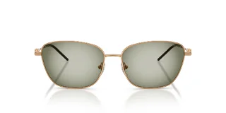 Emporio Armani Sunglasses EA2170