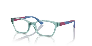 3032 Transparent Sage