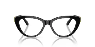 Swarovski Eyeglasses SK2005