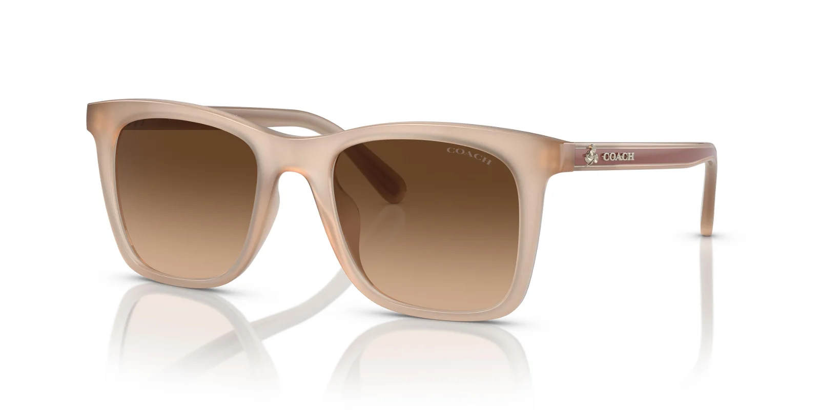 Coach Sunglasses HC8374U