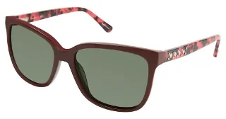 C03 Purple/Tortoise