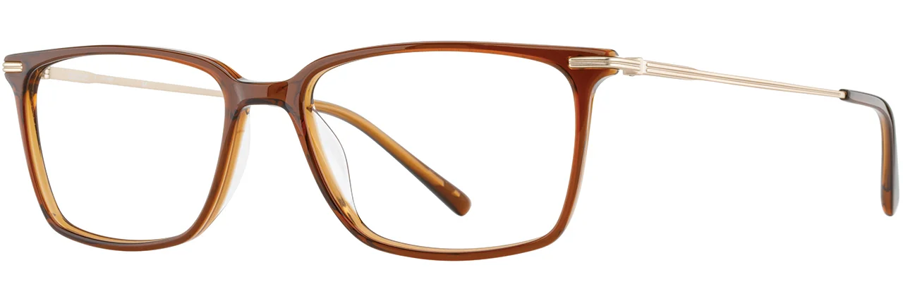 Michael Ryen Eyeglasses MR-420