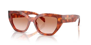 11P70E Cognac Tortoise