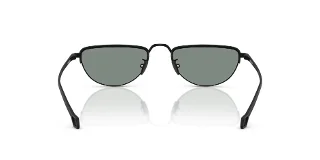 Giorgio Armani Sunglasses AR6166J