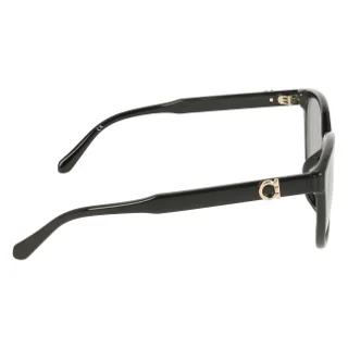 Salvatore Ferragamo Sunglasses SF2074SELB